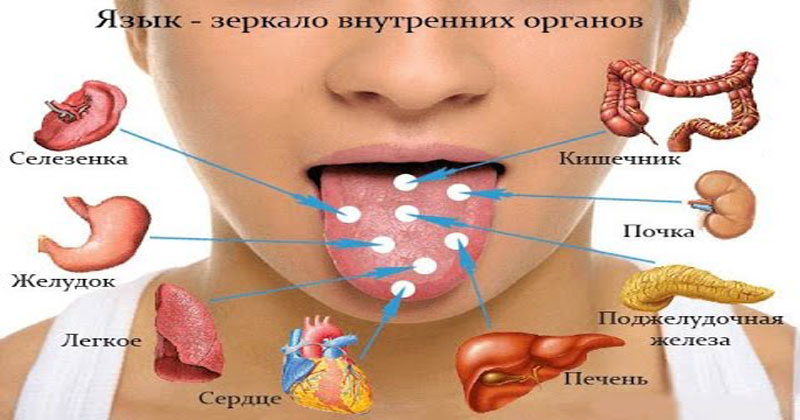 Определение болезни по фото онлайн бесплатно